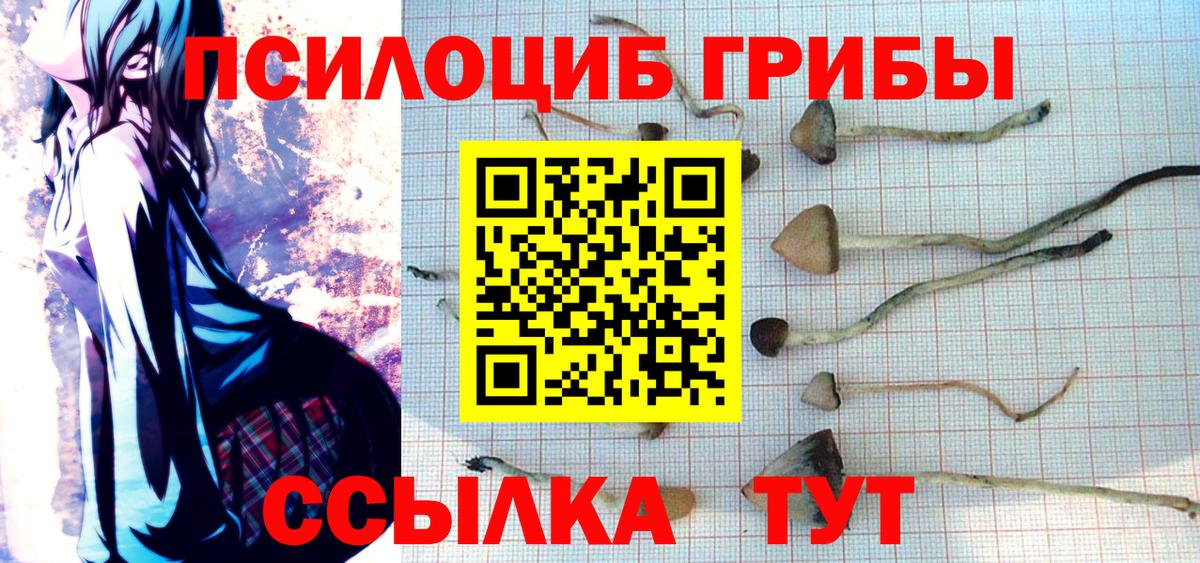 Галлюциногенные грибы Psilocybine cubensis  Вход с VPN  Сунжа 